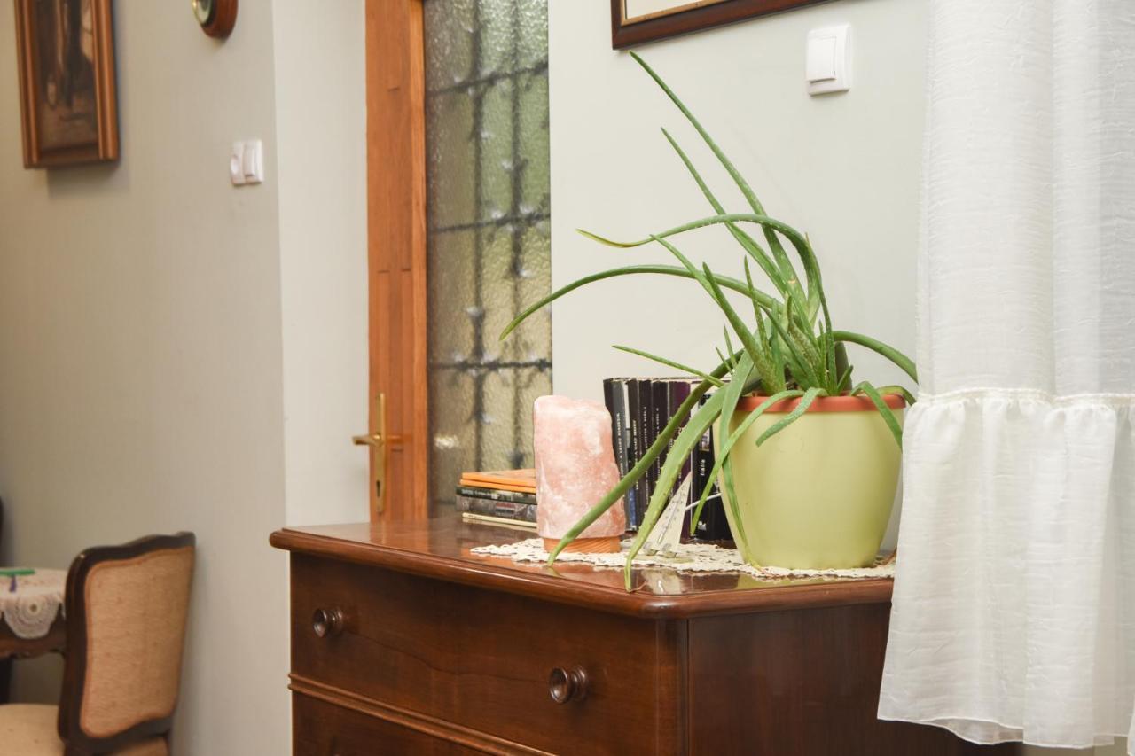 Apartman Woolf Senta المظهر الخارجي الصورة